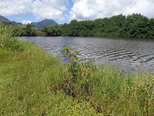 th SAM 1098 - SAMSUNG CAMERA PICTURES th SAM 1098 - SAMSUNG CAMERA PICTURES