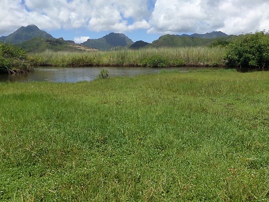 th SAM 1102 - SAMSUNG CAMERA PICTURES th SAM 1102 - SAMSUNG CAMERA PICTURES