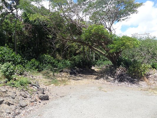 th SAM 1109 - SAMSUNG CAMERA PICTURES th SAM 1109 - SAMSUNG CAMERA PICTURES