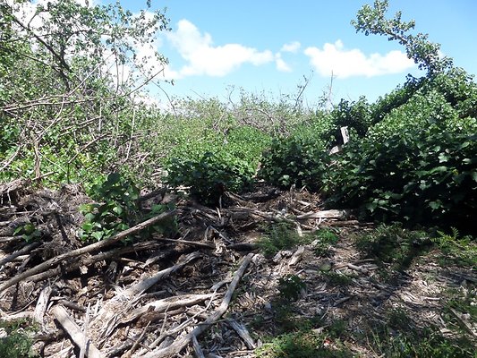 th SAM 1113 - SAMSUNG CAMERA PICTURES th SAM 1113 - SAMSUNG CAMERA PICTURES