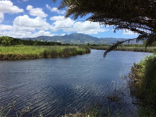Haleiwa Ukoa Pond 64-140 Kawailoa Drive Kamehameha Schools Kevin Chang 808.523.6346