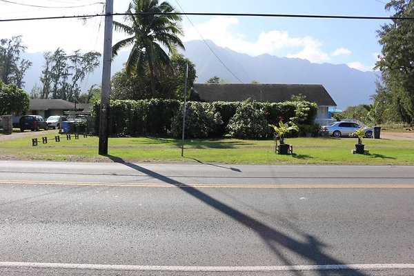 th IMG 2008 th IMG 2008