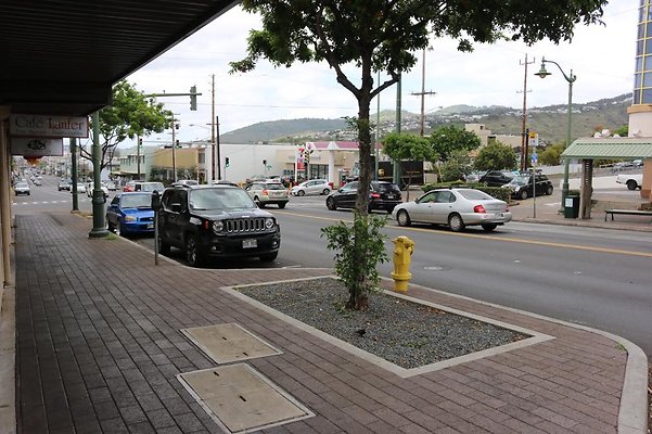 th IMG 2104 th IMG 2104