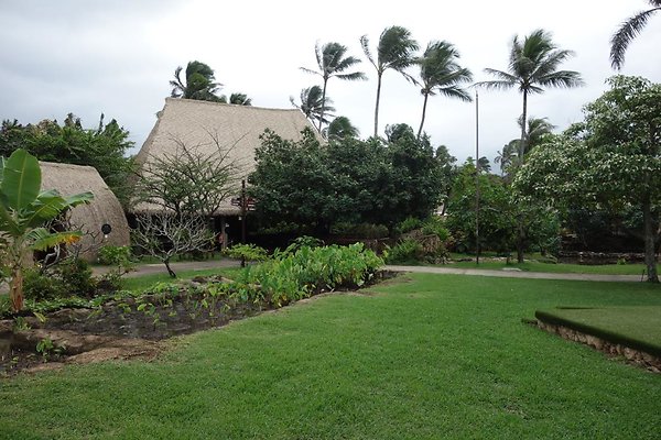 th DSC07794 th DSC07794