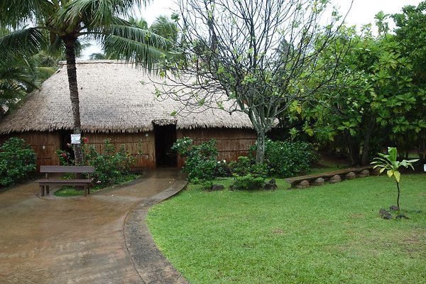 th DSC07798 th DSC07798