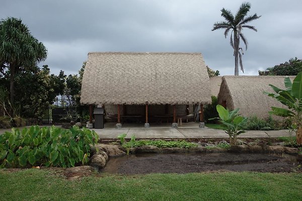 th DSC07793 th DSC07793