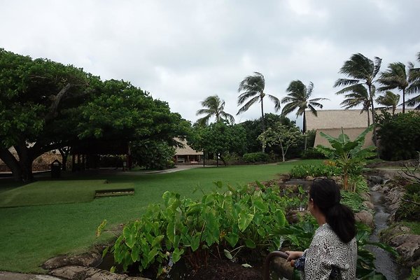 th DSC07790 th DSC07790