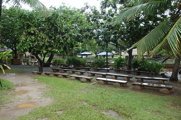 th DSC07800 th DSC07800