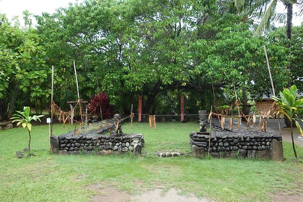 th DSC07799 th DSC07799