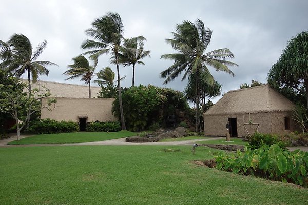 th DSC07792 th DSC07792