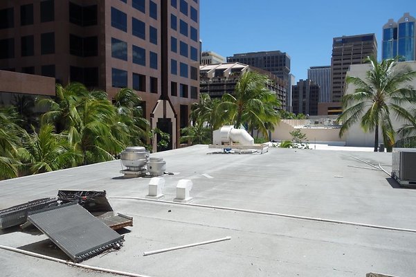 Chinatown 1146 Fort St Mall Mike 808.225.0052 Chinatown 1146 Fort St Mall Mike 808.225.0052