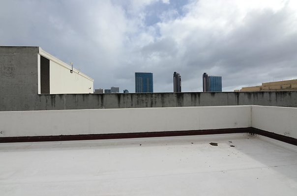 th DSC1656 th DSC1656