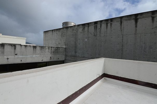 th DSC1650 th DSC1650