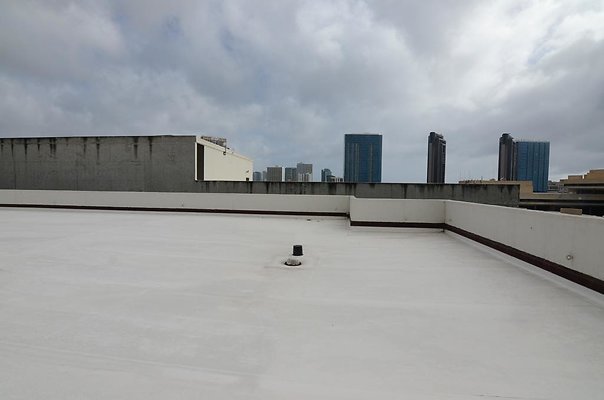 th DSC1665 th DSC1665