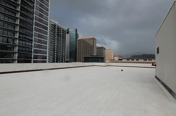 th DSC1669 th DSC1669