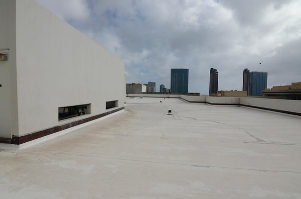 th DSC1667 th DSC1667