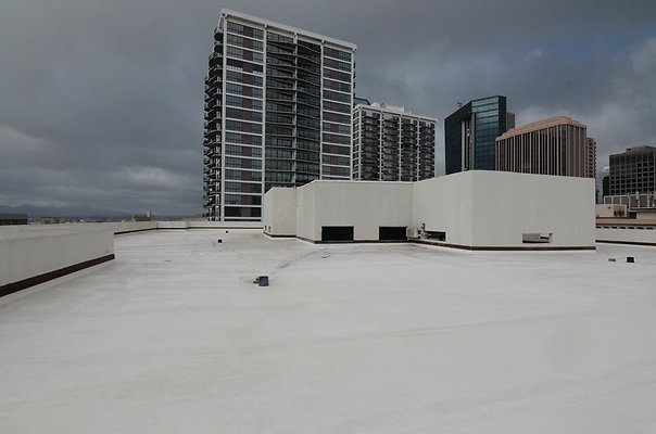 th DSC1664 th DSC1664