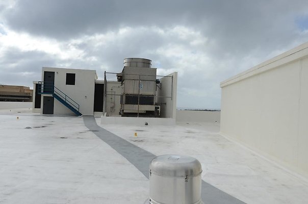 th DSC1674 th DSC1674