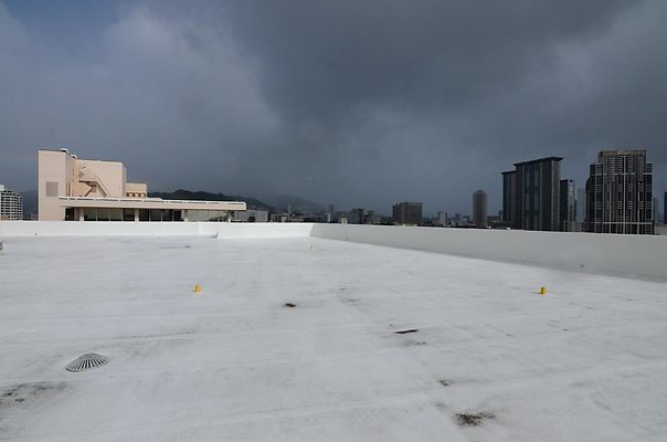 th DSC1680 th DSC1680