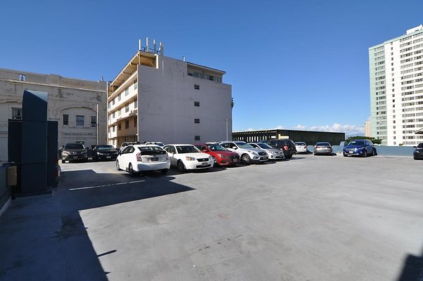 th DSC 0264 th DSC 0264