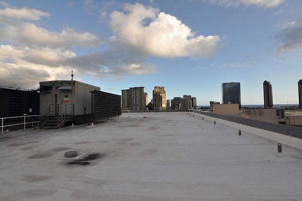 th DSC 0239 th DSC 0239