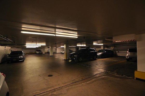 th DSC 0231 th DSC 0231