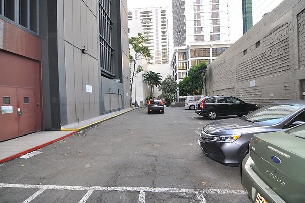 th DSC 0253 th DSC 0253