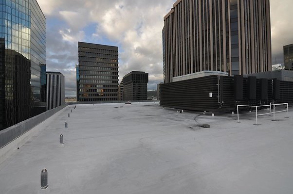 th DSC 0238 th DSC 0238