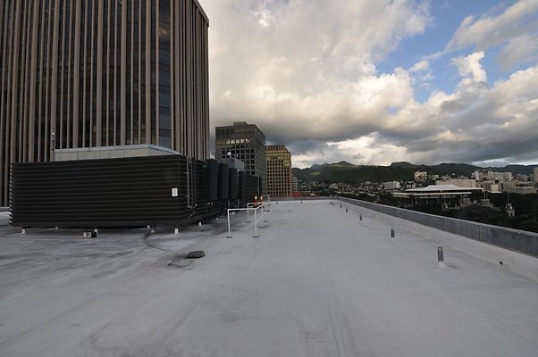 th DSC 0237 th DSC 0237