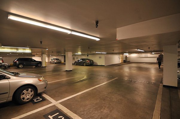 th DSC 0233 th DSC 0233