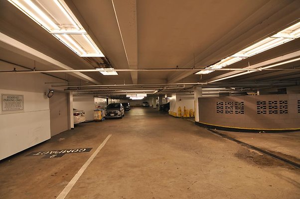 th DSC 0225 th DSC 0225