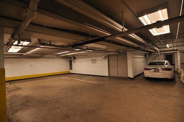 th DSC 0229 th DSC 0229