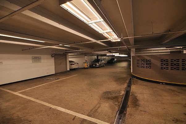 th DSC 0223 th DSC 0223