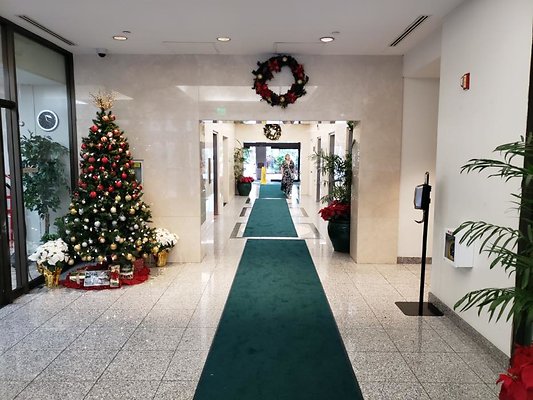 th 20191211 155518 th 20191211 155518