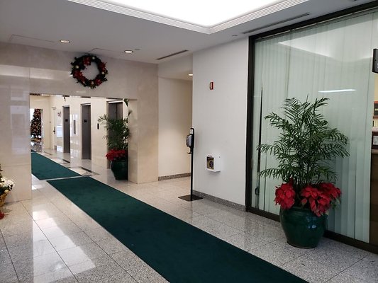 th 20191211 155510 th 20191211 155510