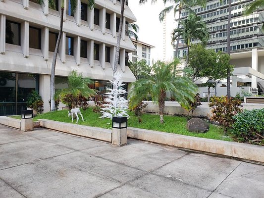 th 20191211 155929 th 20191211 155929