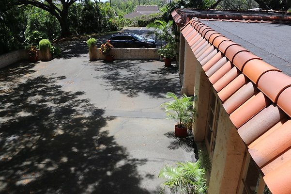 th IMG 3510 th IMG 3510