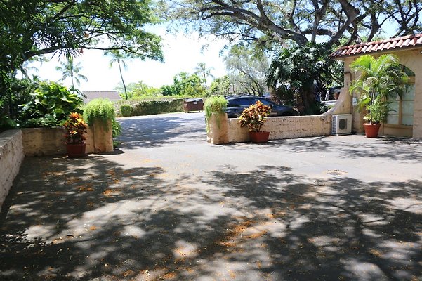 th IMG 3506 th IMG 3506