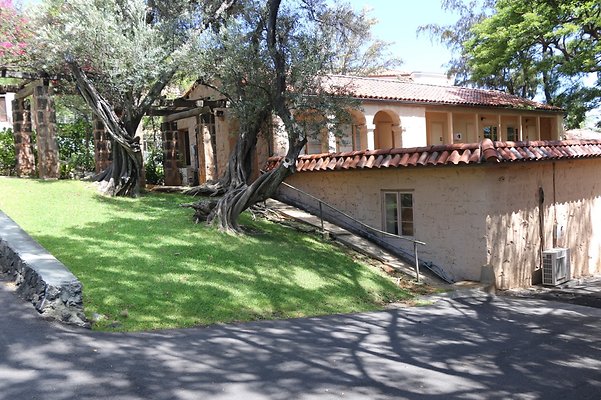 th IMG 3538 th IMG 3538