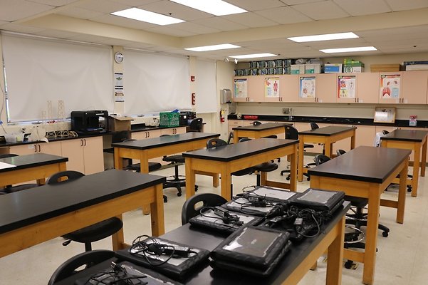 th IMG 3531 th IMG 3531