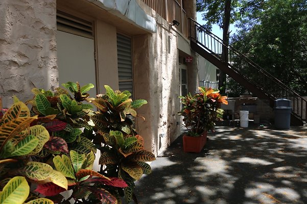 th IMG 3507 th IMG 3507