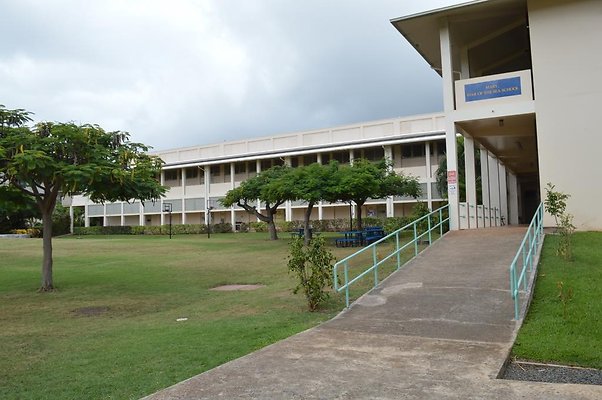 Star of Sea Debbie Star of Sea Debbie