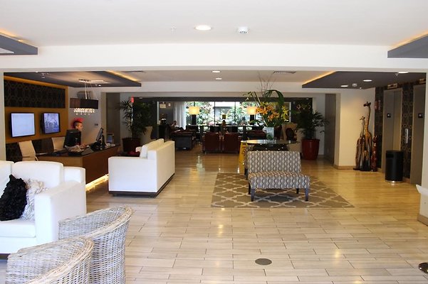 Vive Waikiki Hotel Vive Waikiki Hotel