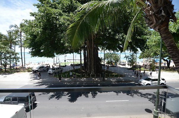 th DSC3408 th DSC3408