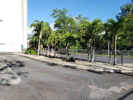 th 20191203 154604 th 20191203 154604