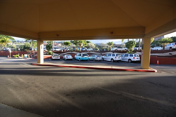 th IMG 2687 th IMG 2687