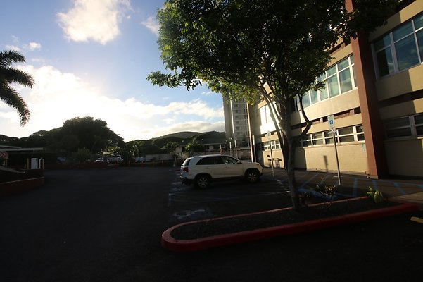 th IMG 2685 th IMG 2685