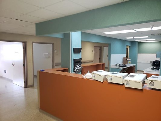 th 20190731 122013 th 20190731 122013