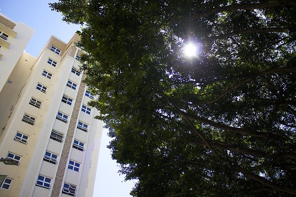 Frear Hall tower view right Frear Hall tower view right