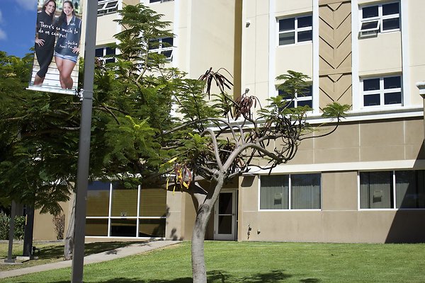 Frear Hall backside left Frear Hall backside left